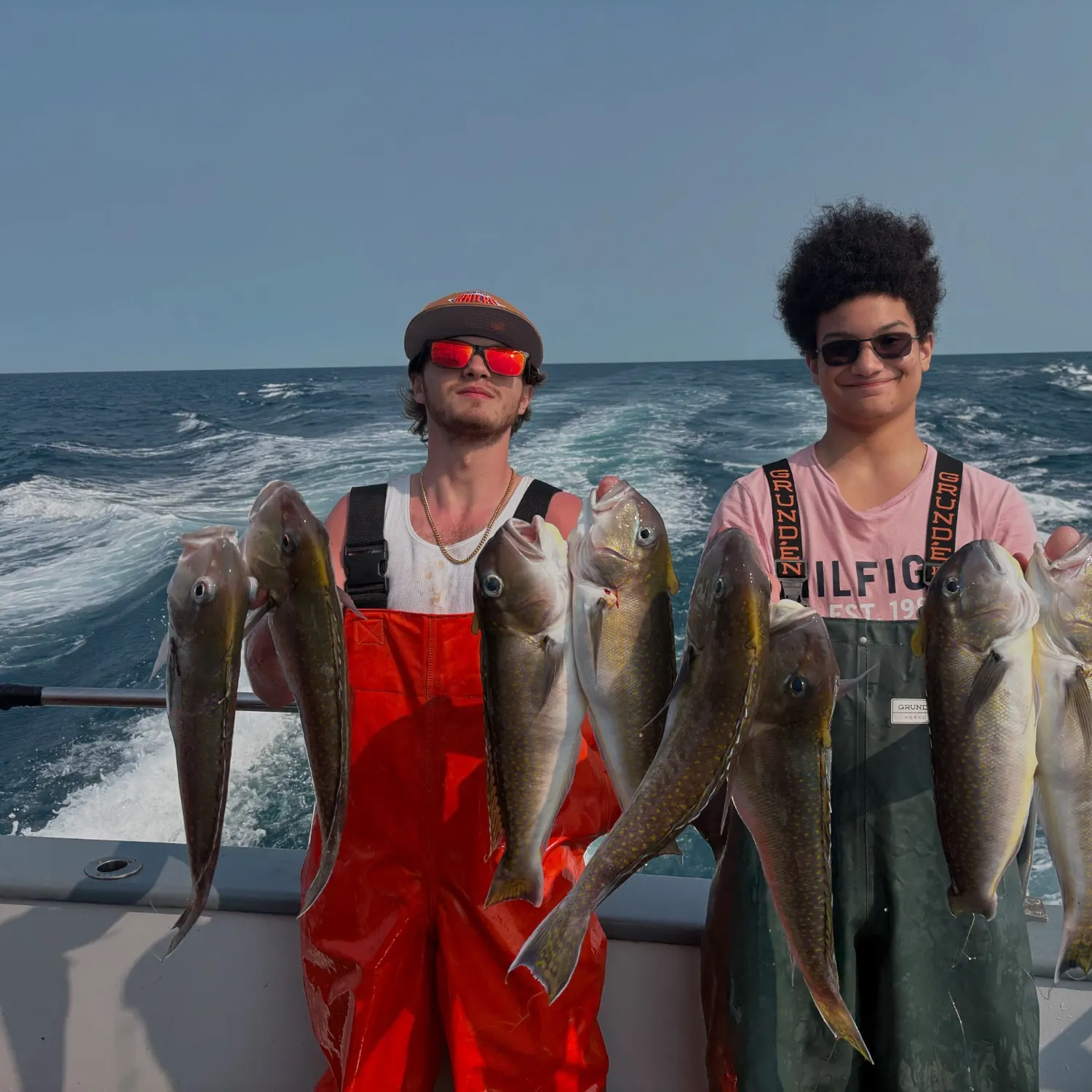 The most recent Great northern tilefish catches on Fishbrain