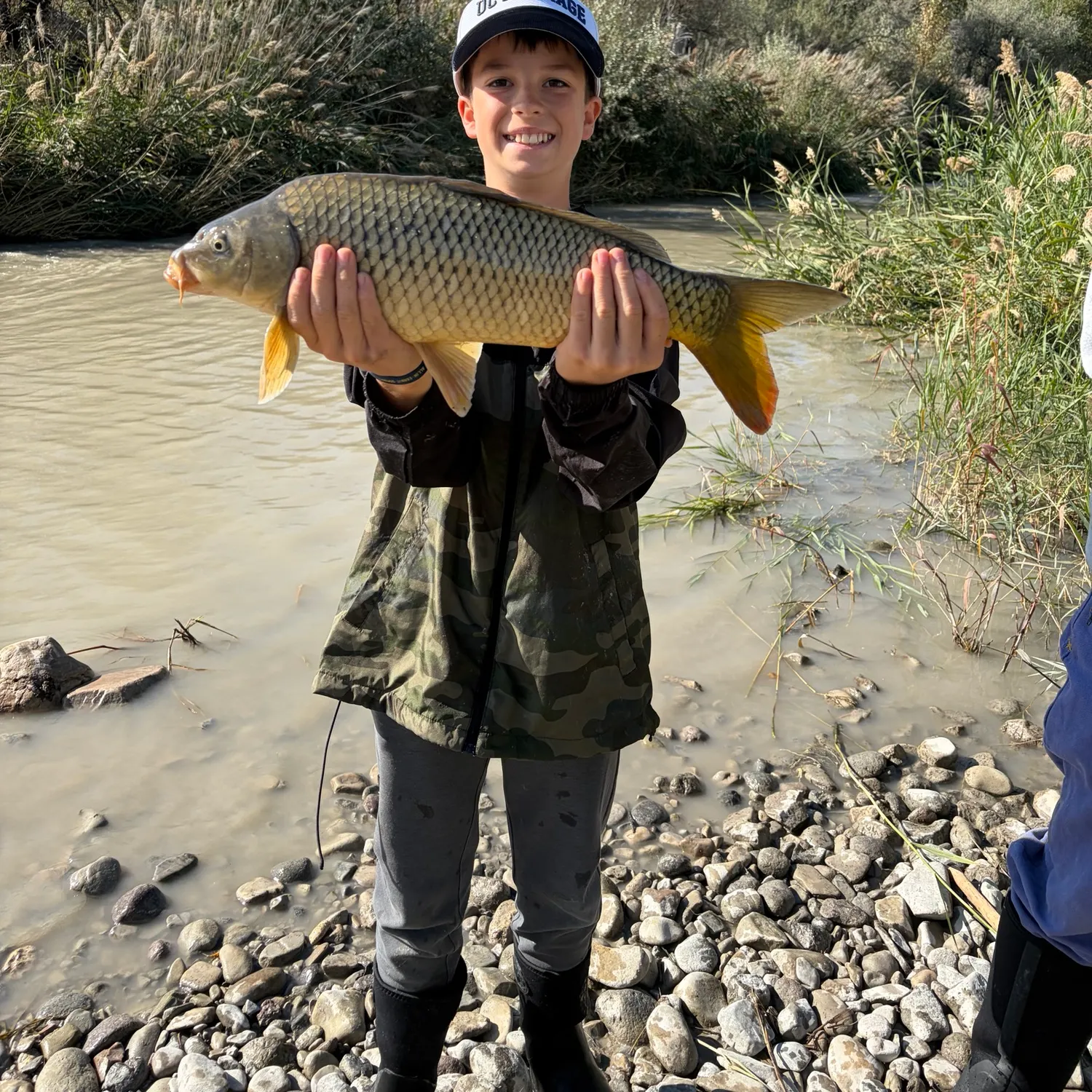 Common carp caught on Fishbrain