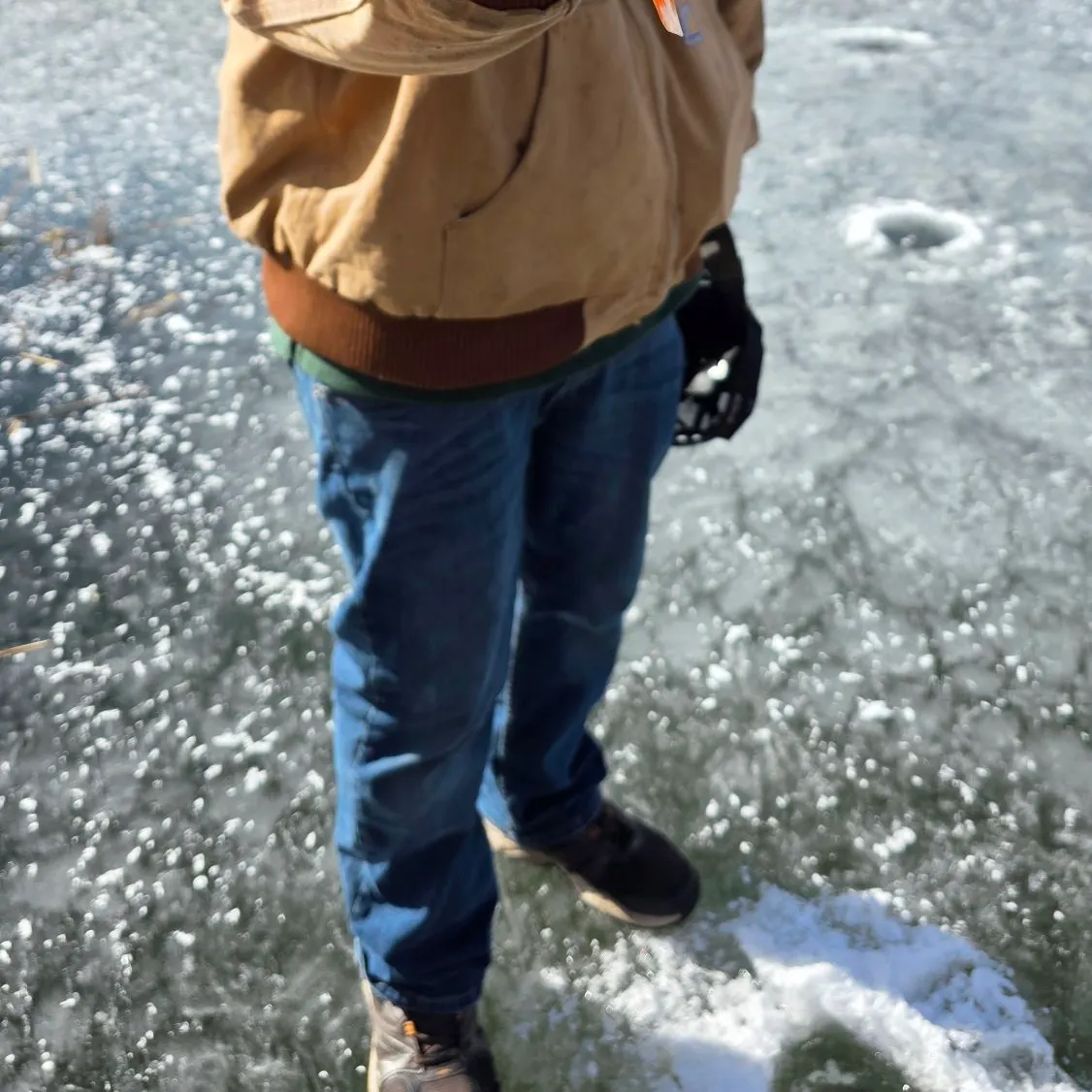 The most recent Goldfish catches on Fishbrain