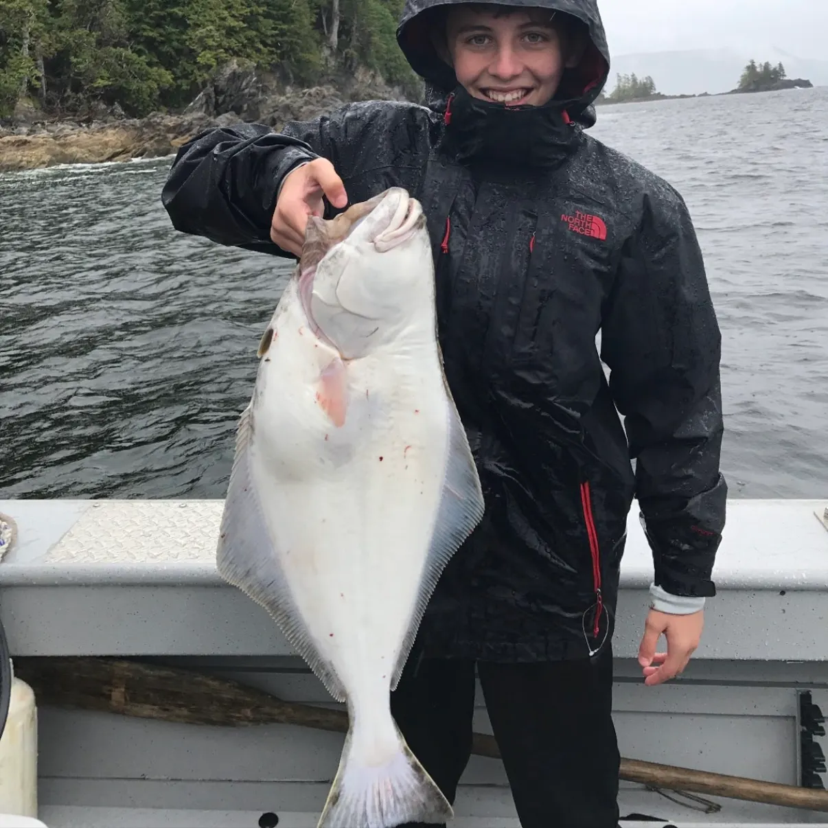 The most recent Pacific halibut catches on Fishbrain