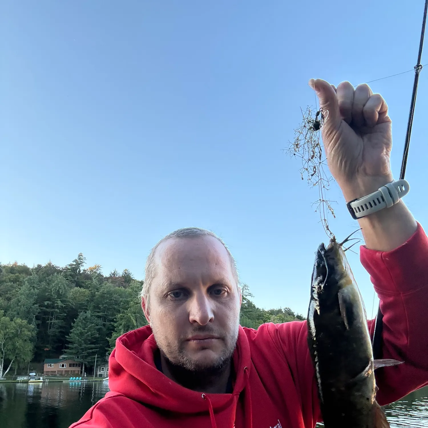 Black bullhead caught on Fishbrain