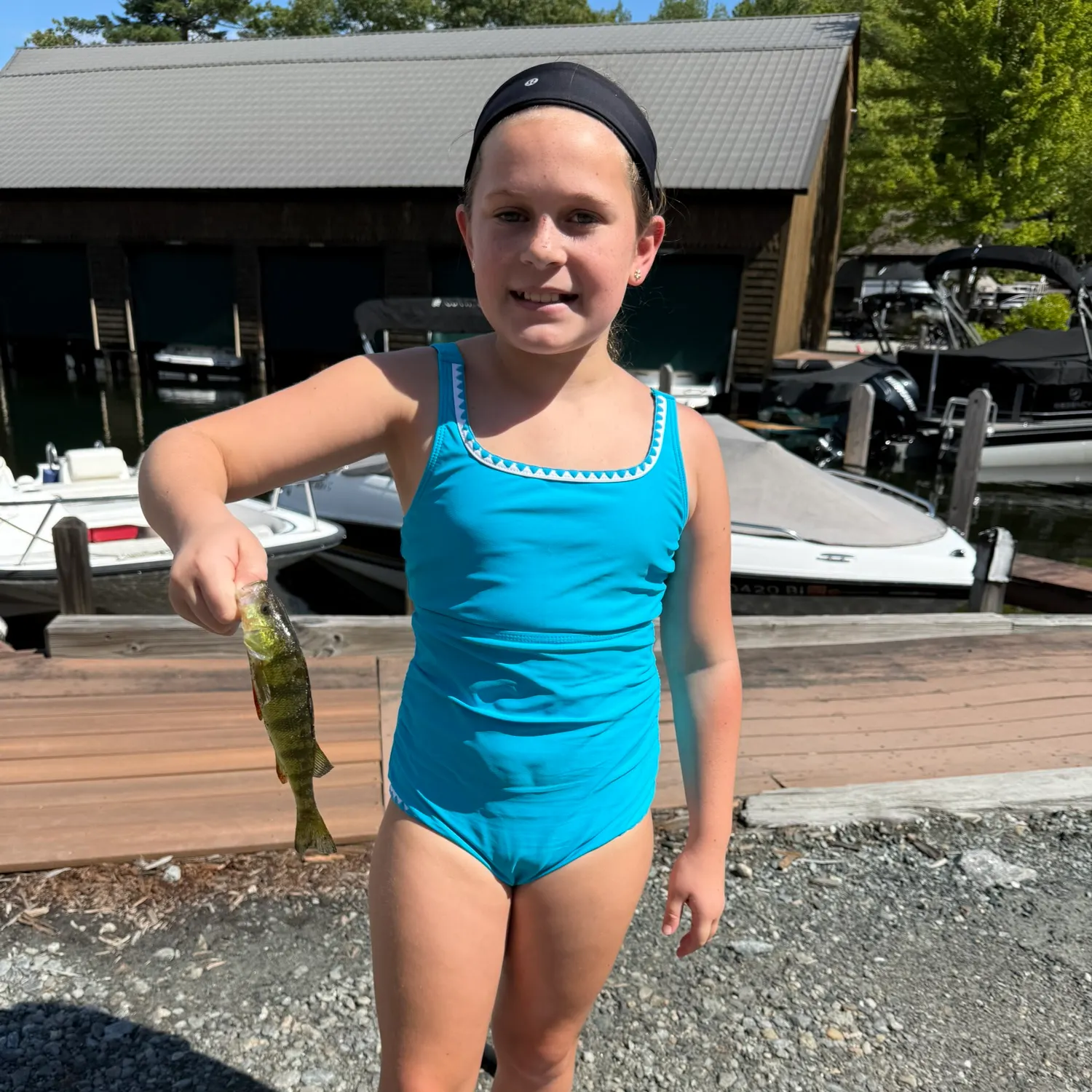 Yellow perch caught on Fishbrain