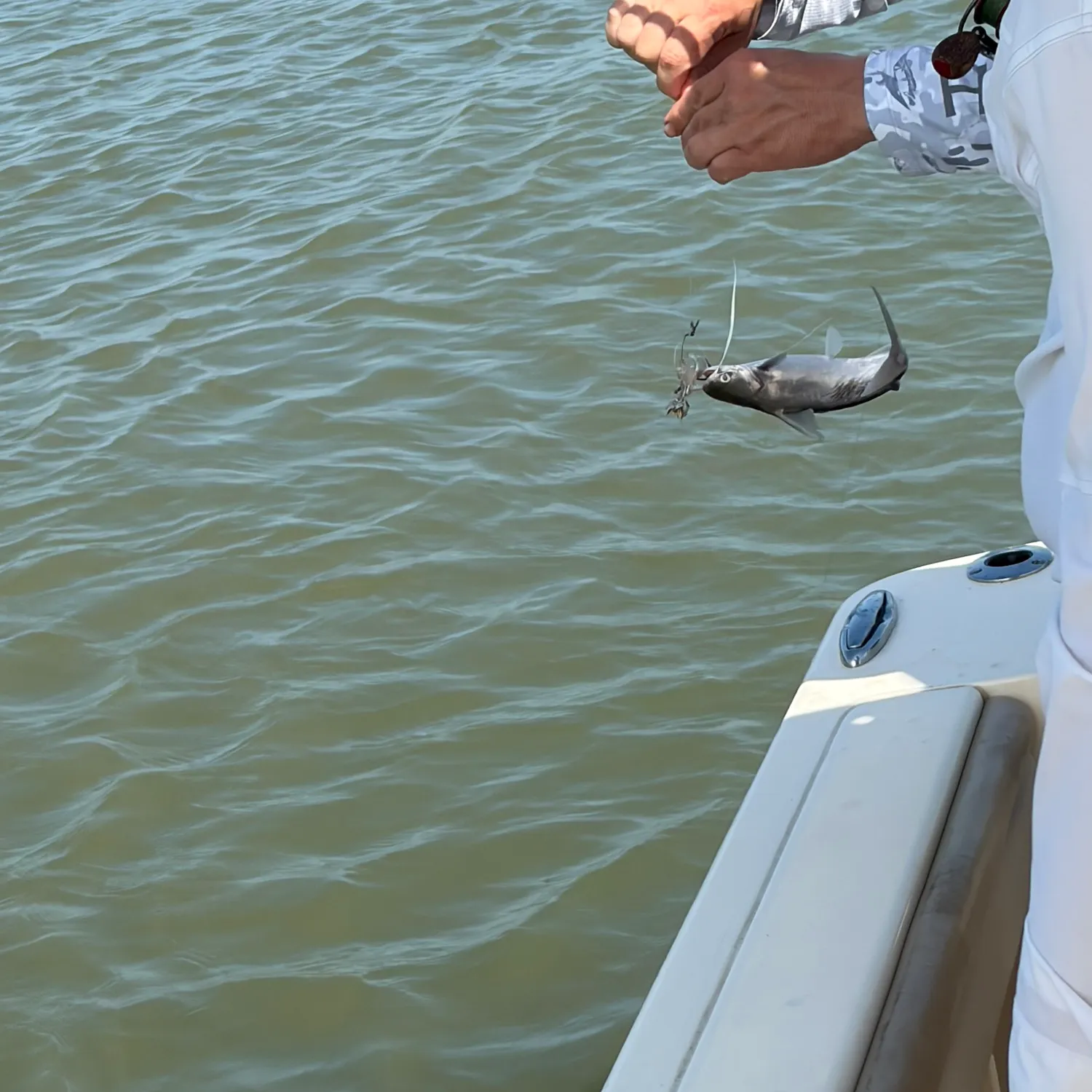 catch