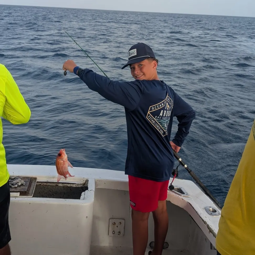 The most recent Common squirrelfish catches on Fishbrain