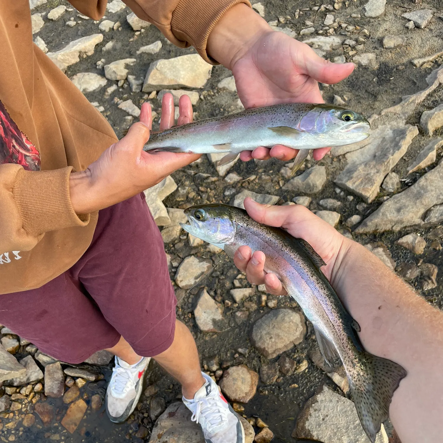 recently logged catches