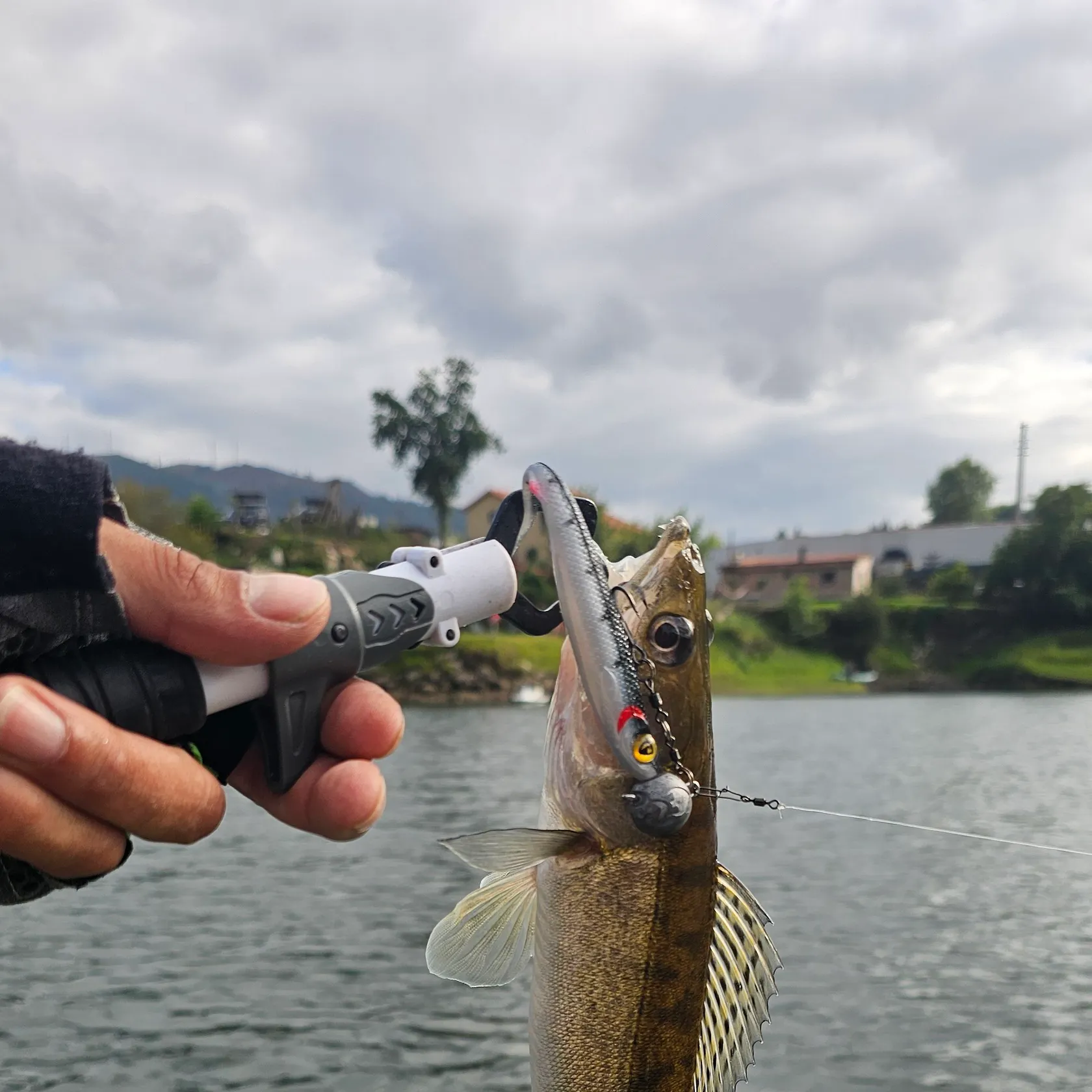 catch