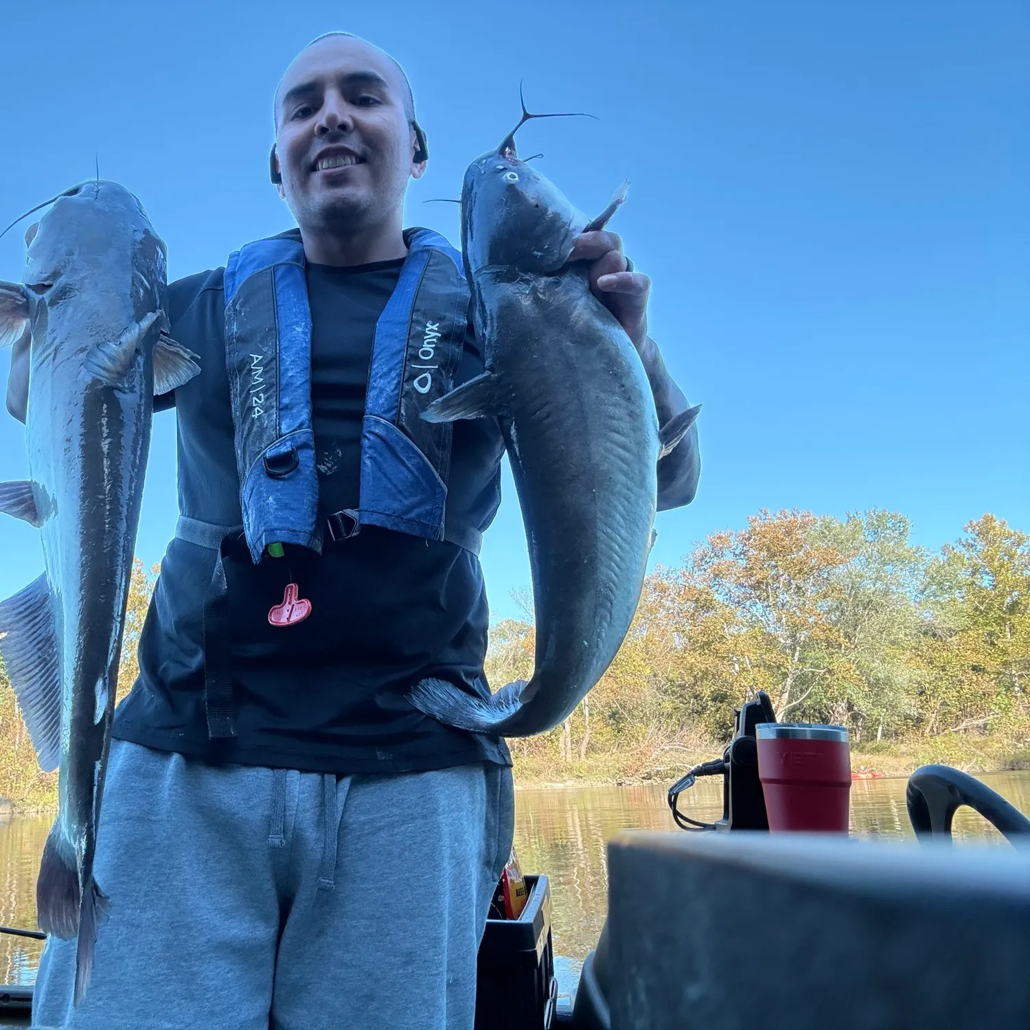 Blue catfish caught on Fishbrain