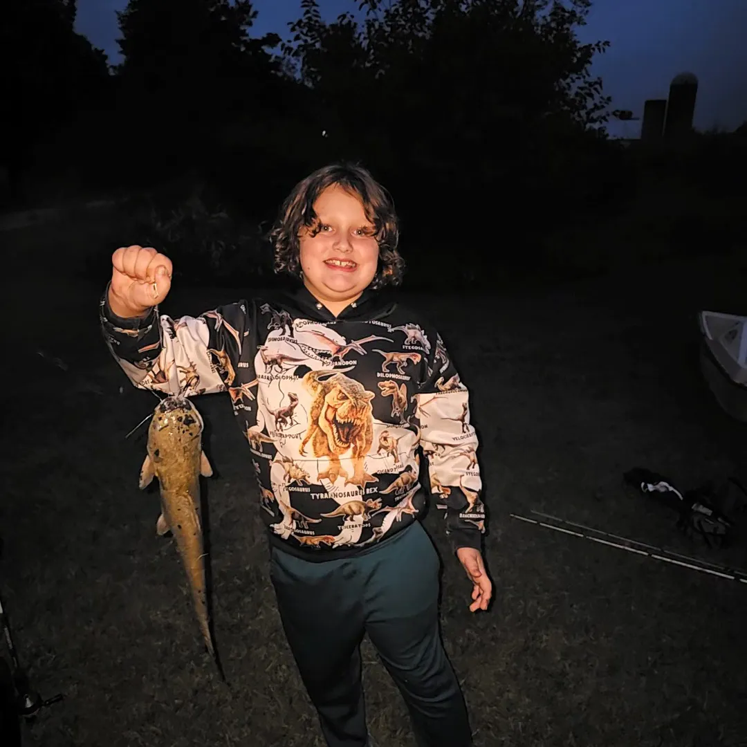 Channel catfish caught on Fishbrain