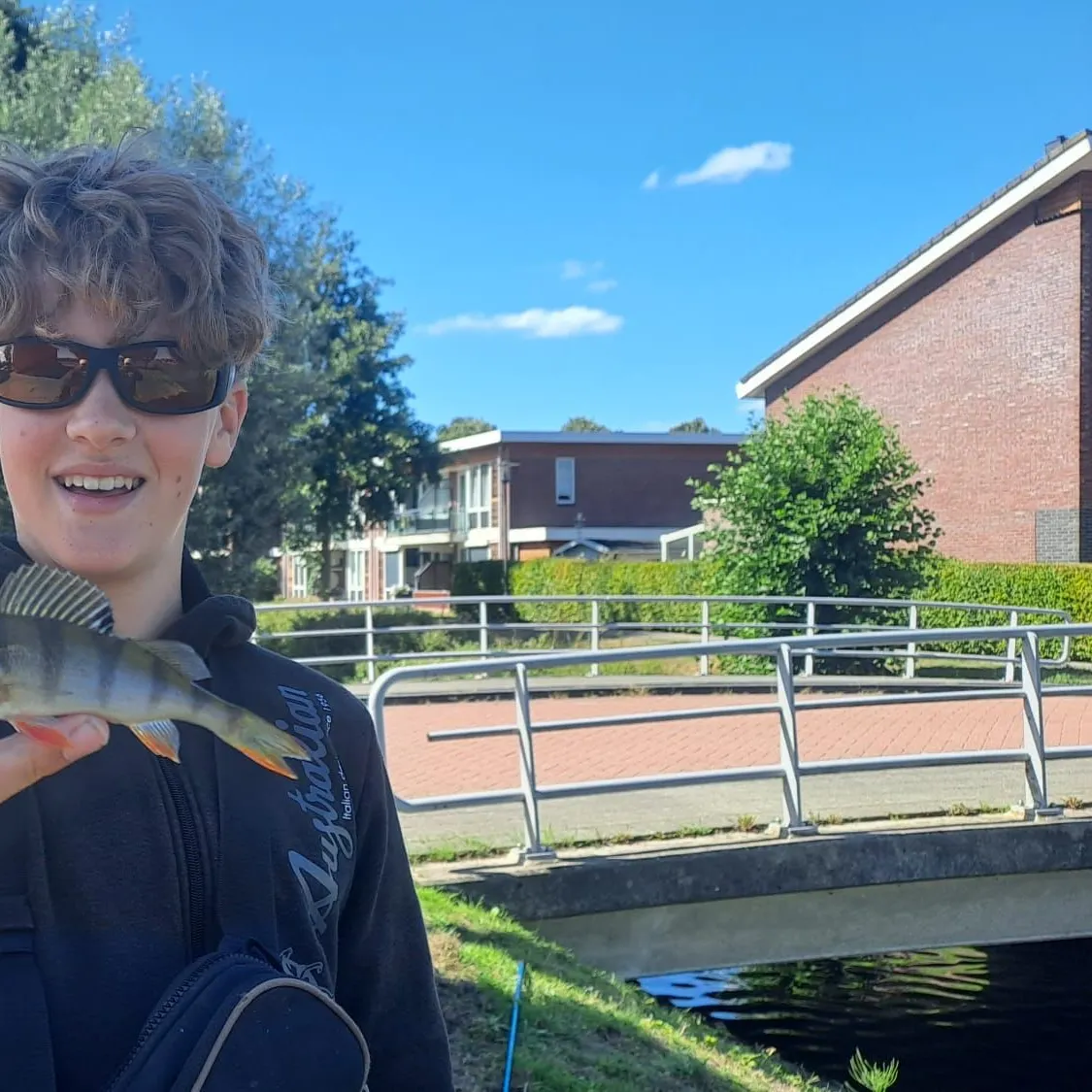 European perch caught on Fishbrain