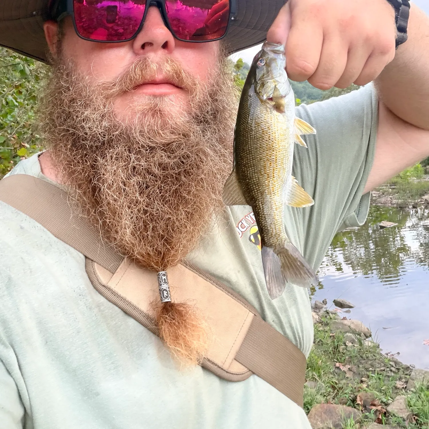 Smallmouth bass caught on Fishbrain