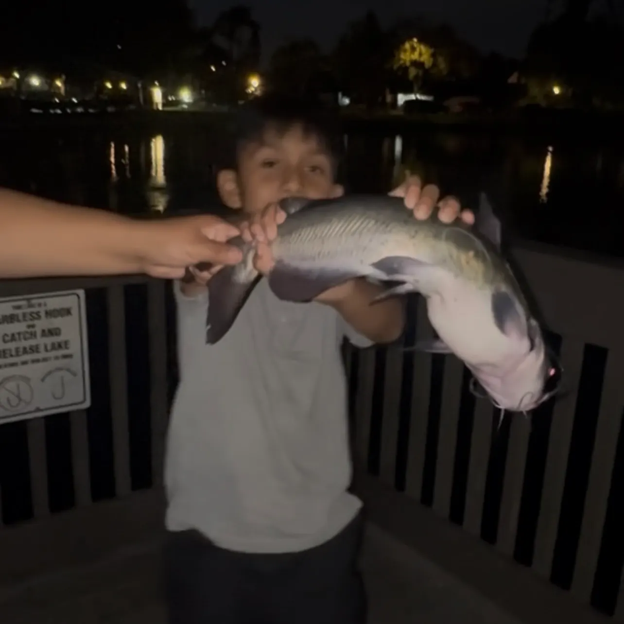 Channel catfish caught on Fishbrain
