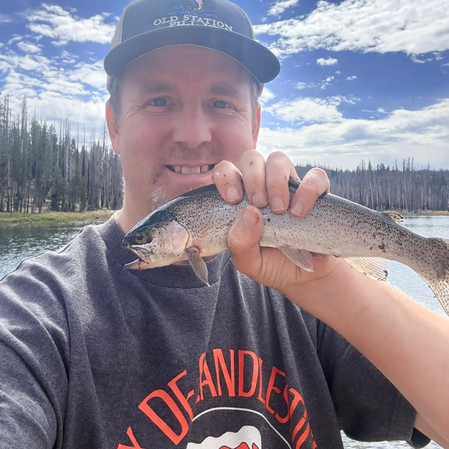 Rainbow trout caught on Fishbrain