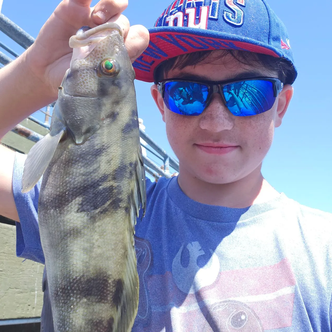 The most recent Barred sand bass catches on Fishbrain