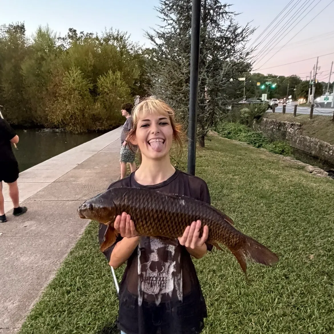 Common carp caught on Fishbrain