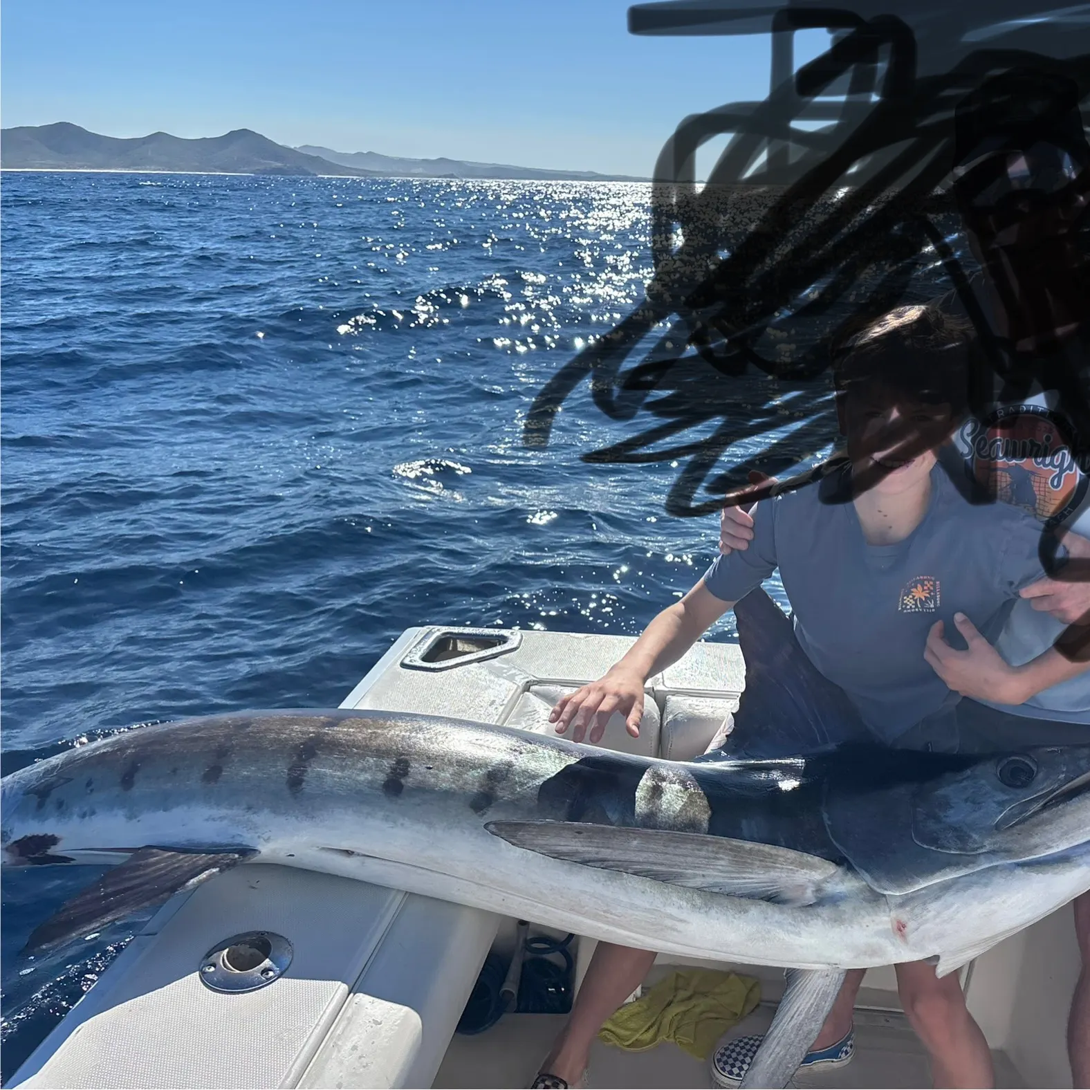 The most recent Striped marlin catches on Fishbrain