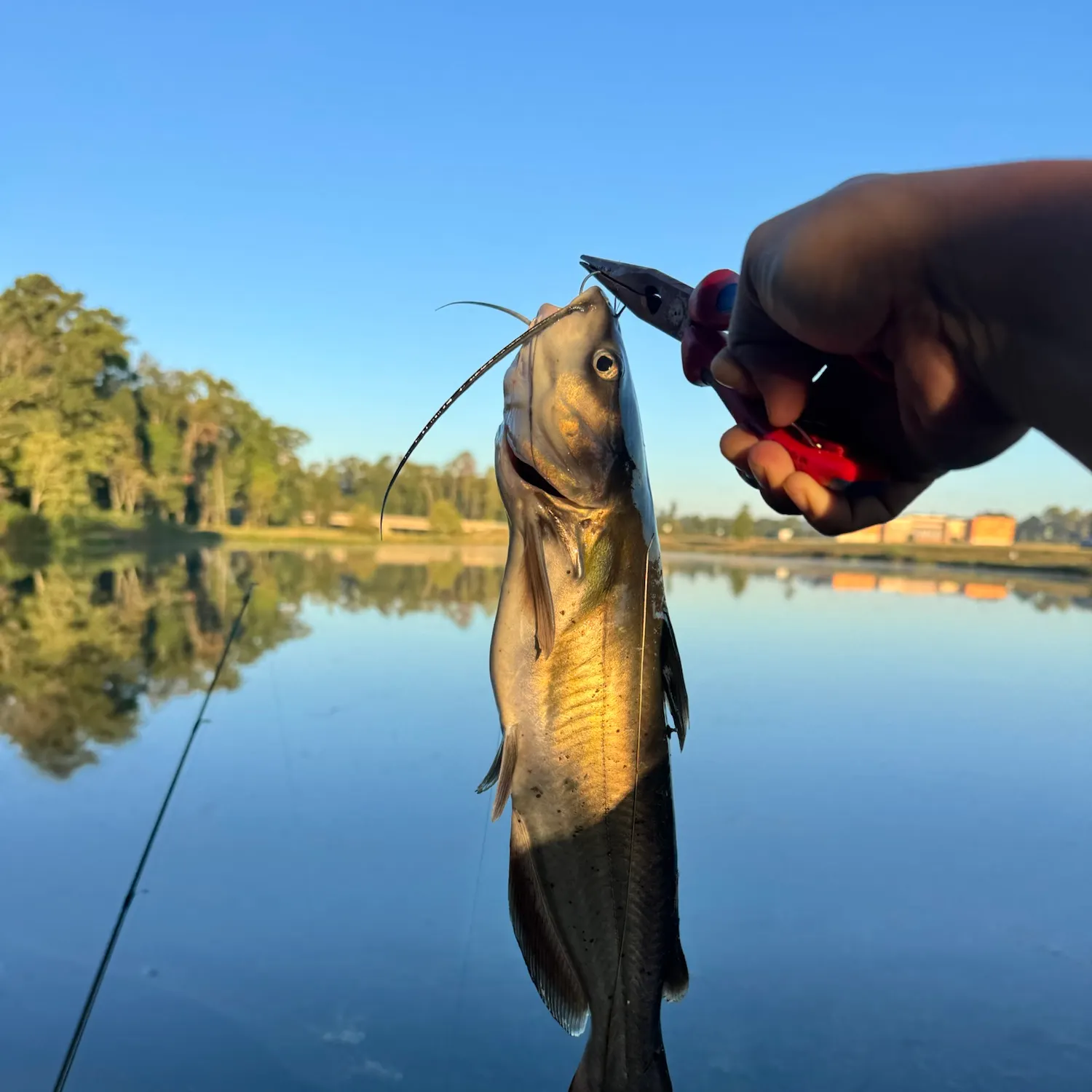 catch