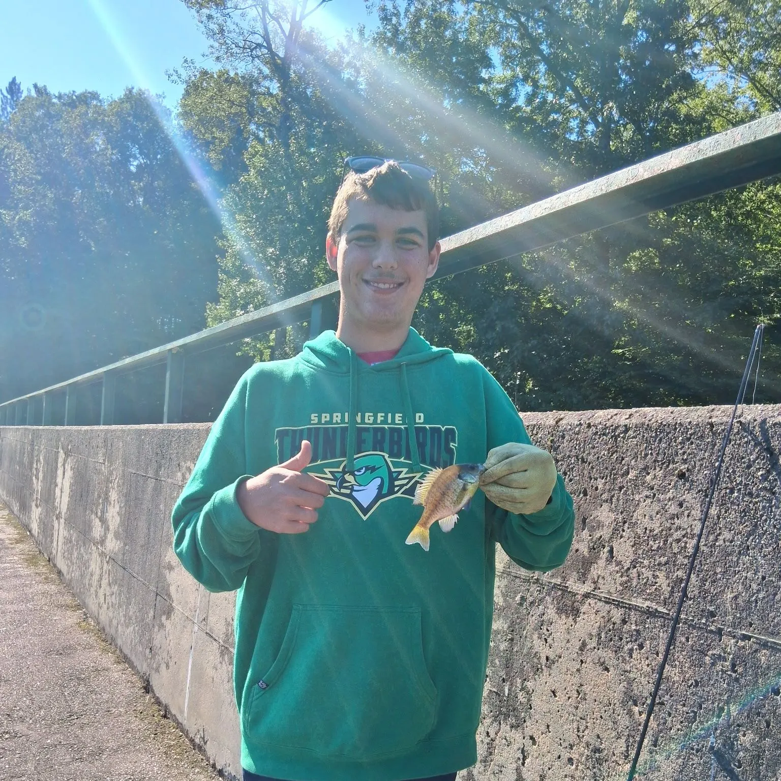 Yellow perch caught on Fishbrain