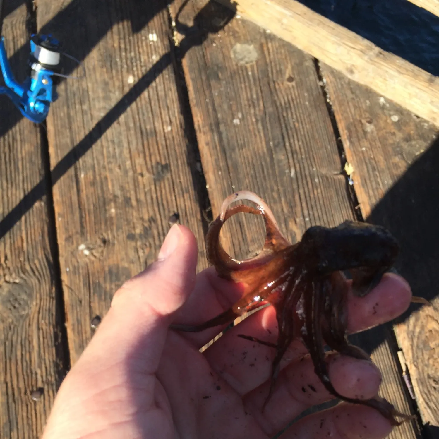 most liked catch image