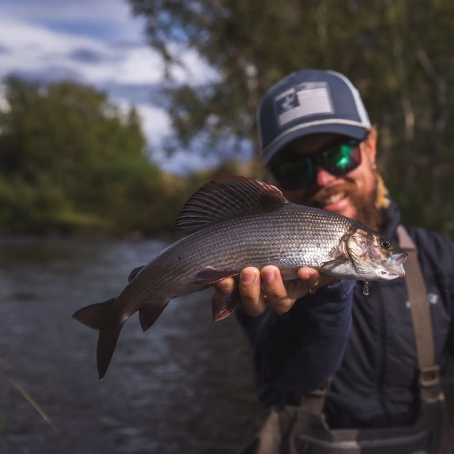 The most popular recent European grayling catch on Fishbrain