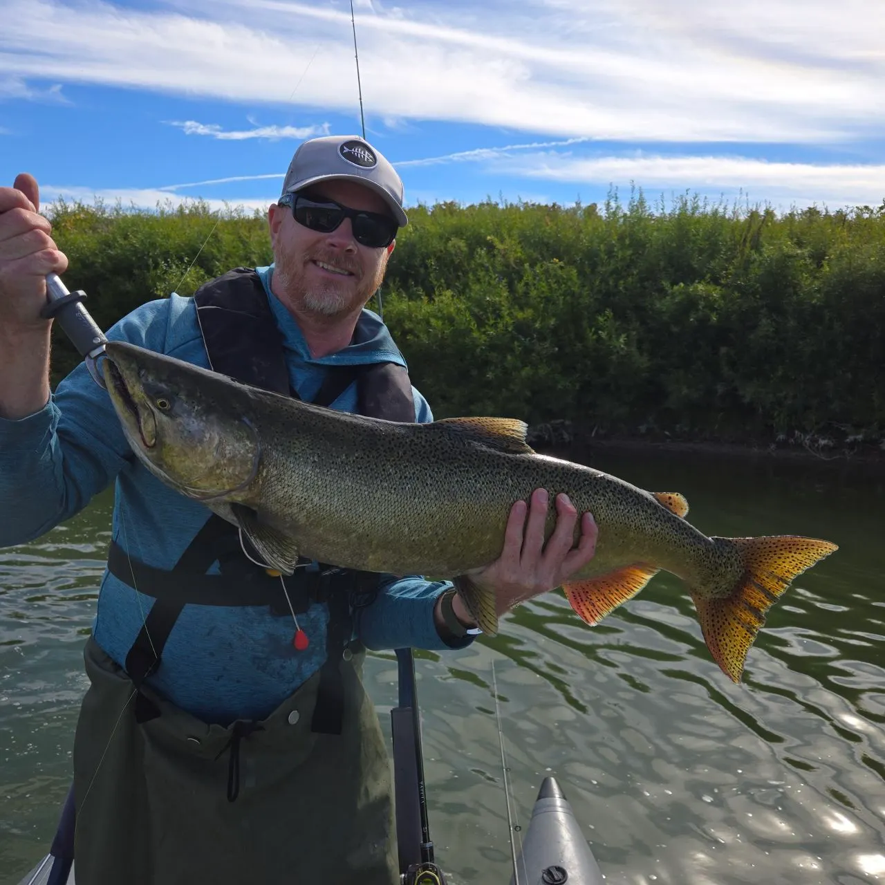 Chinook salmon caught on Fishbrain