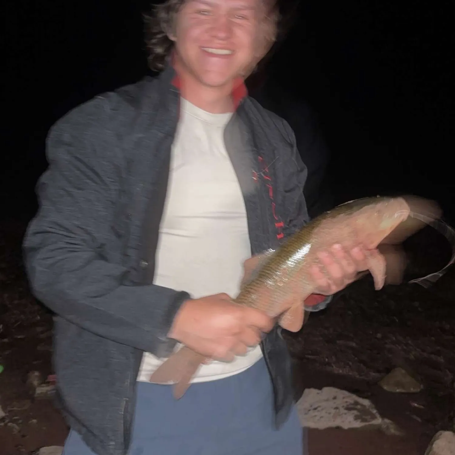 The most recent Spotted sucker catches on Fishbrain