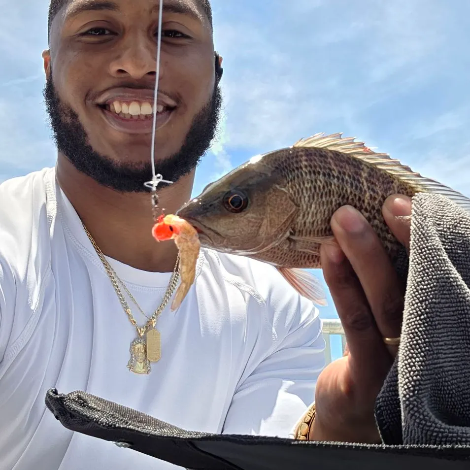 The most recent Roanoke bass catches on Fishbrain