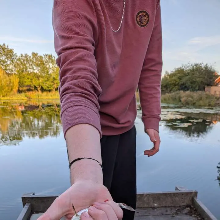 Common roach caught on Fishbrain