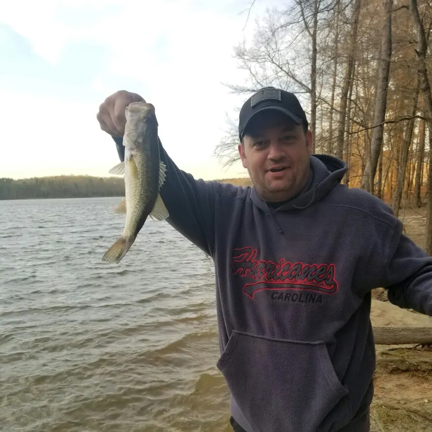 Fish caught on Fishbrain