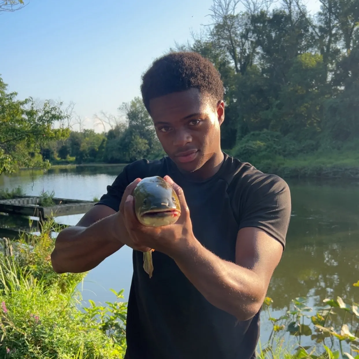 The most recent Eyetail bowfin catches on Fishbrain