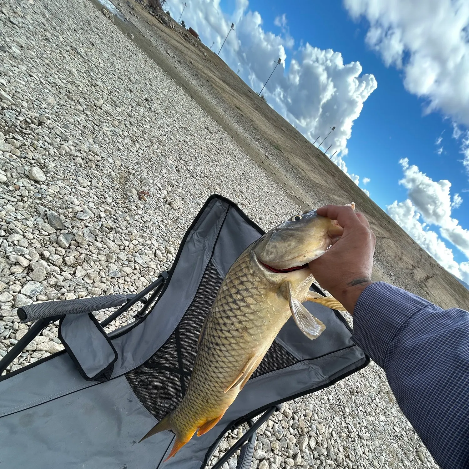 Fish caught on Fishbrain
