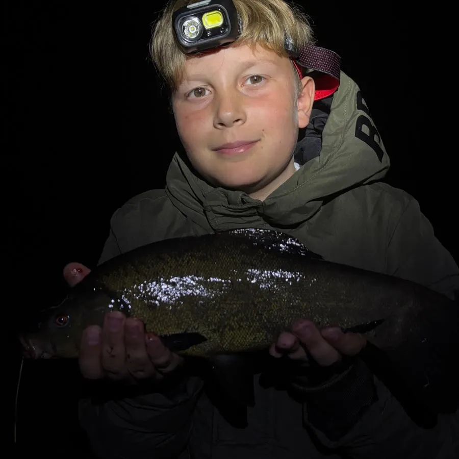 Tench caught on Fishbrain