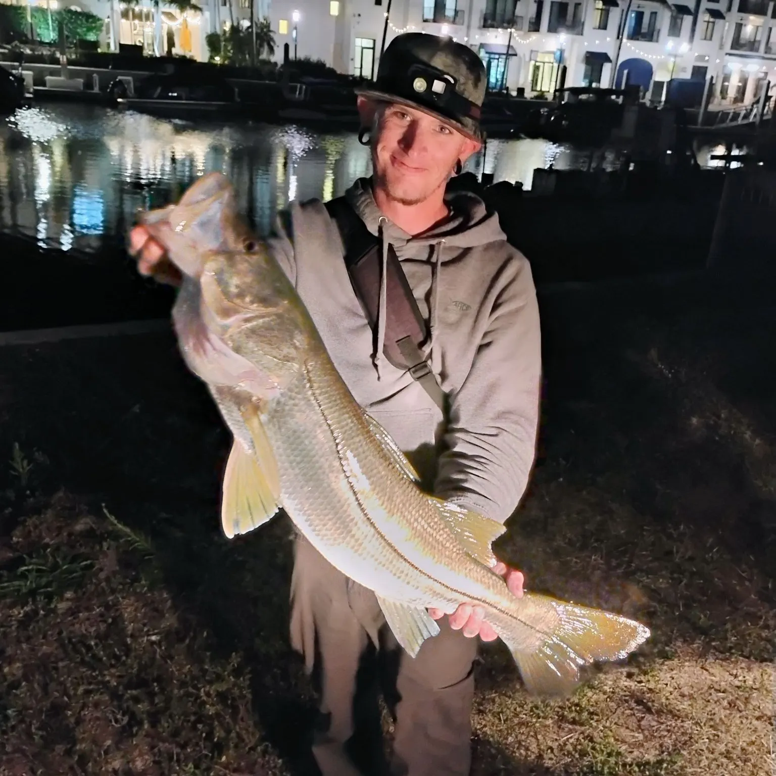 The most recent Common snook catches on Fishbrain