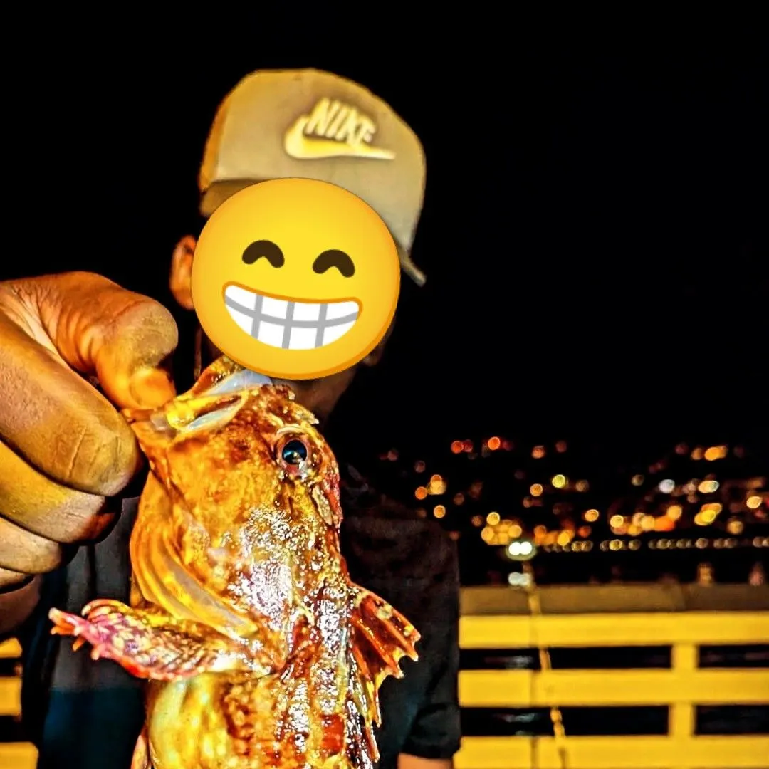 The most recent Cabezon catches on Fishbrain