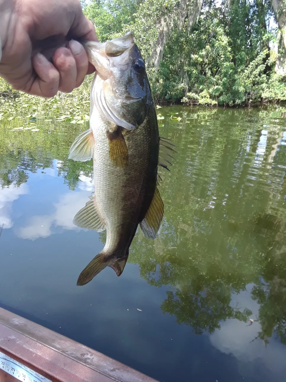 Post image from jacob.middleton