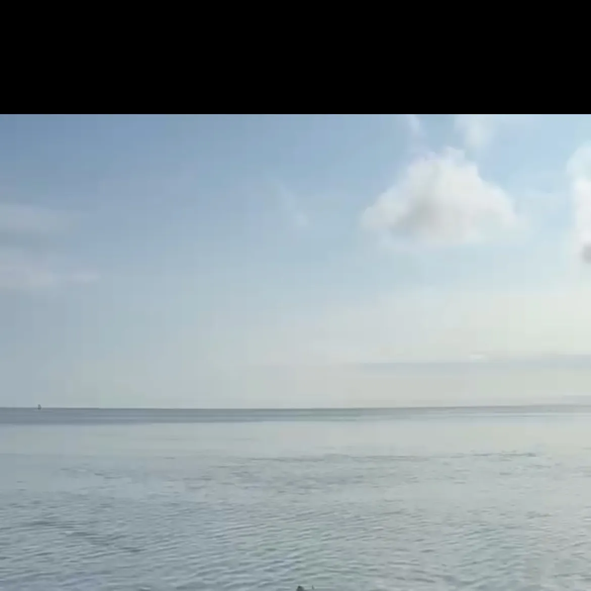 Ocean sunfish caught on Fishbrain