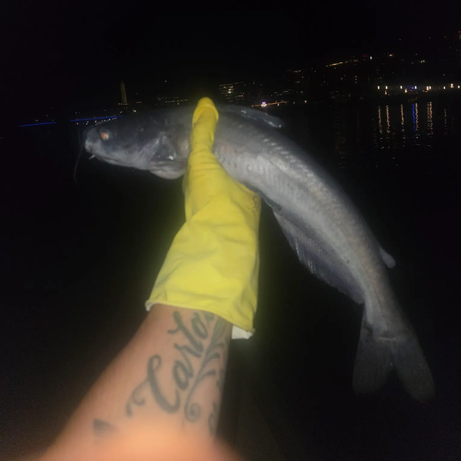catch