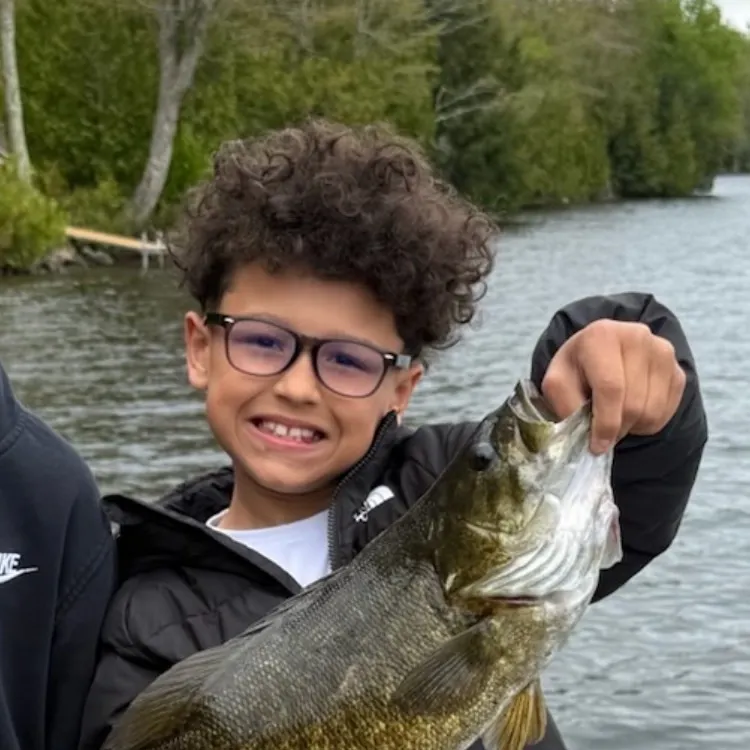 Smallmouth bass caught on Fishbrain