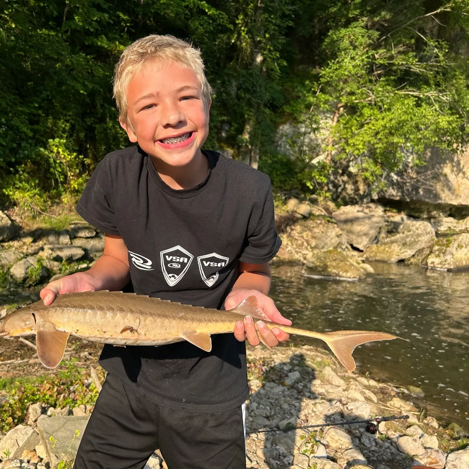 The most recent Shovelnose sturgeon catches on Fishbrain