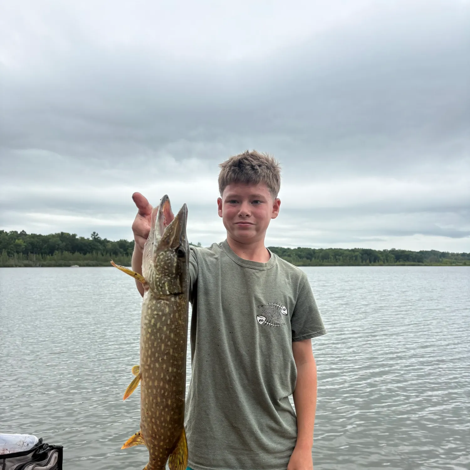Northern pike caught on Fishbrain