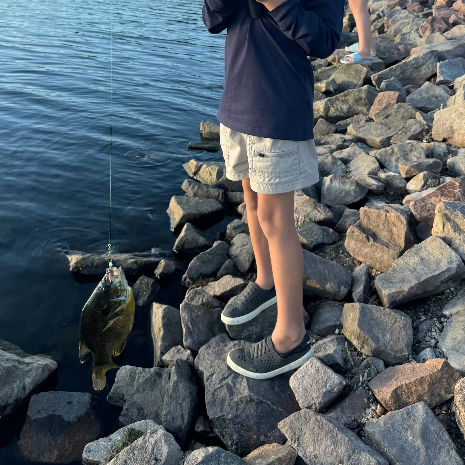The most recent Bluegill catches on Fishbrain