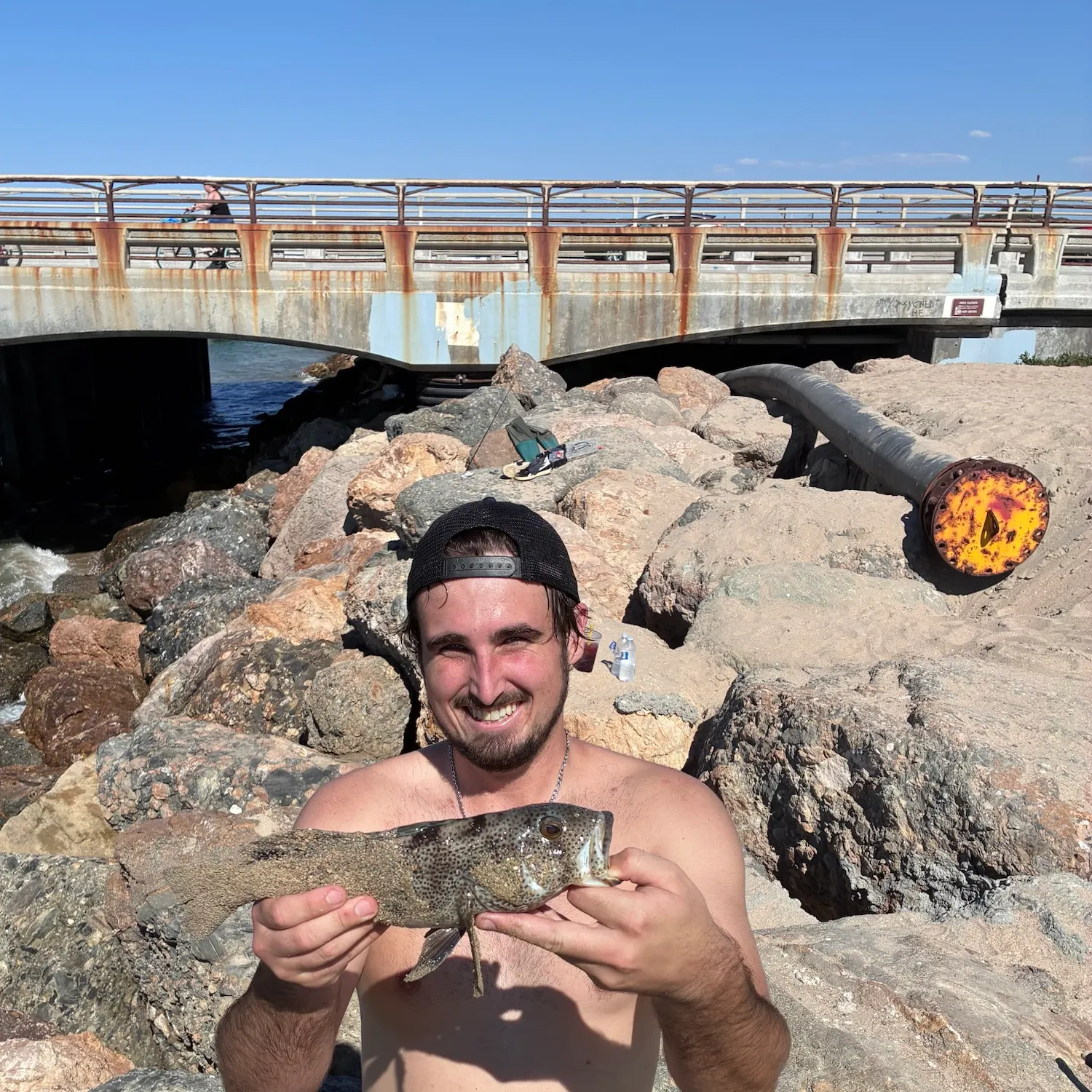 Spotted sand bass caught on Fishbrain