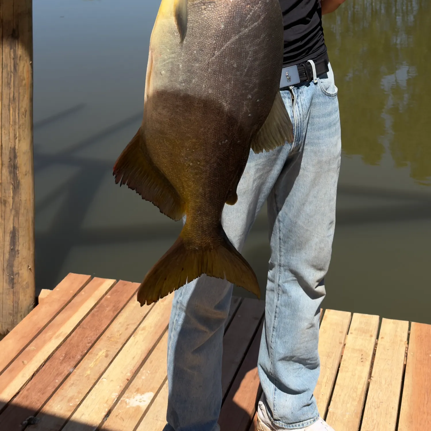 The most recent Small-scaled pacu catches on Fishbrain
