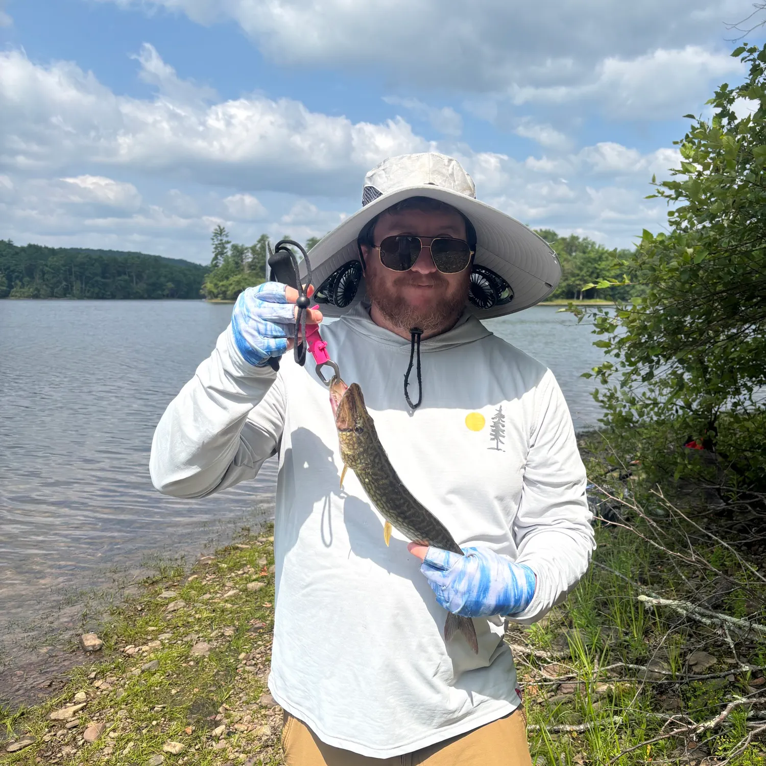 The most recent Grass pickerel catches on Fishbrain