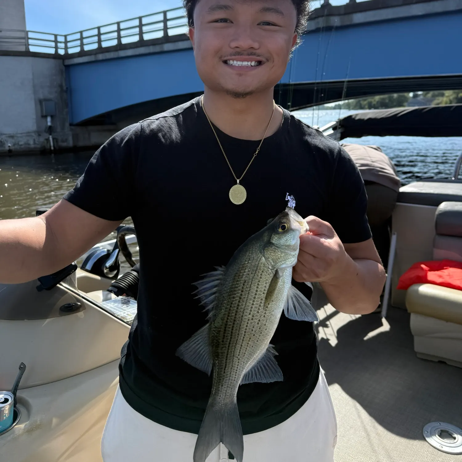 White bass caught on Fishbrain