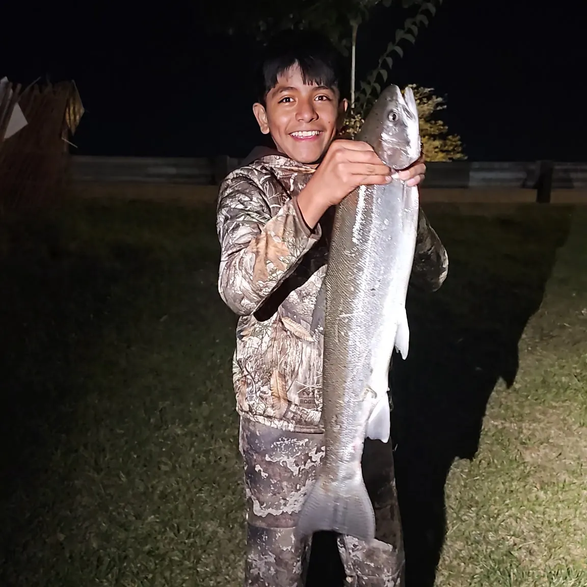 The most recent Coho salmon catches on Fishbrain