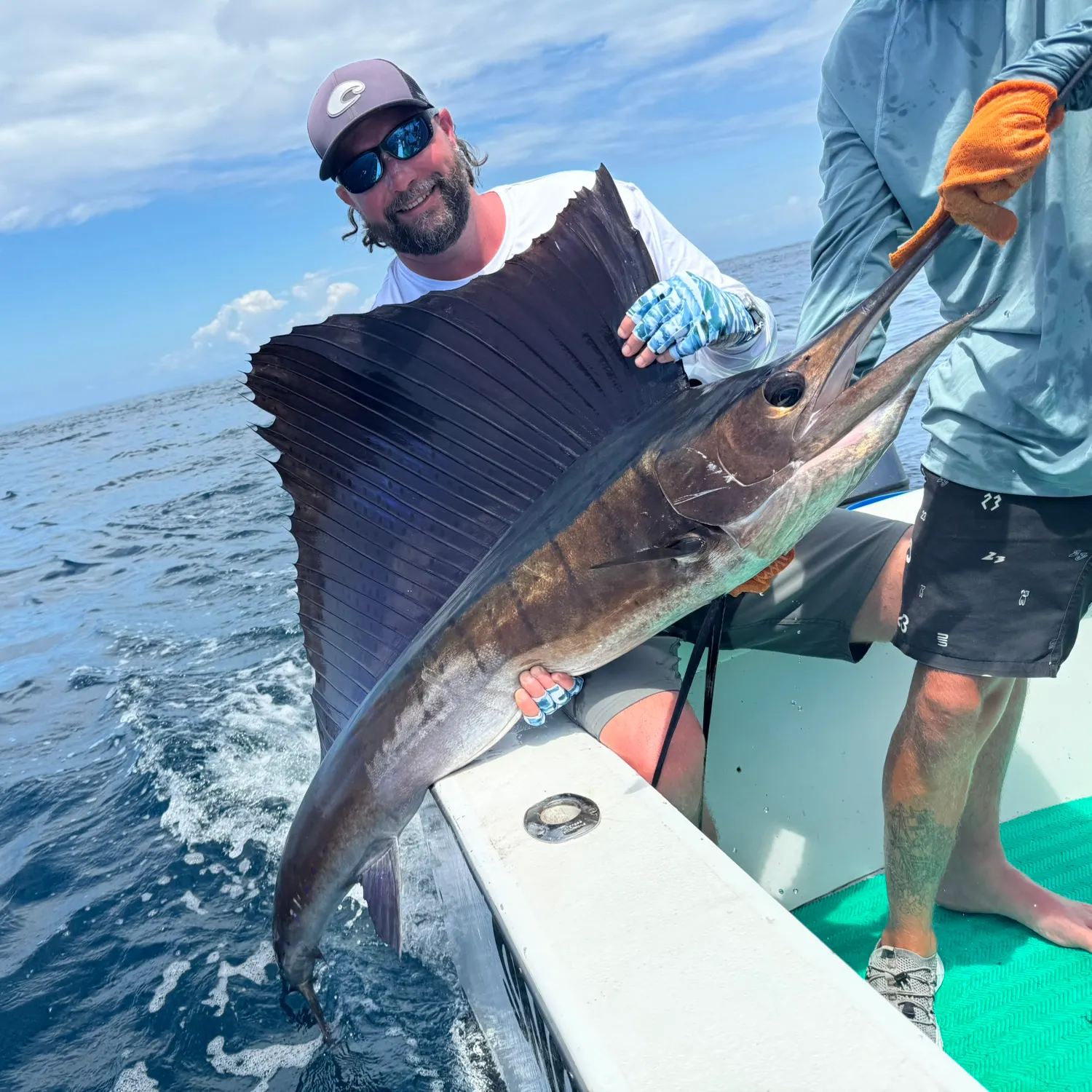 The most recent Indo-Pacific sailfish catches on Fishbrain
