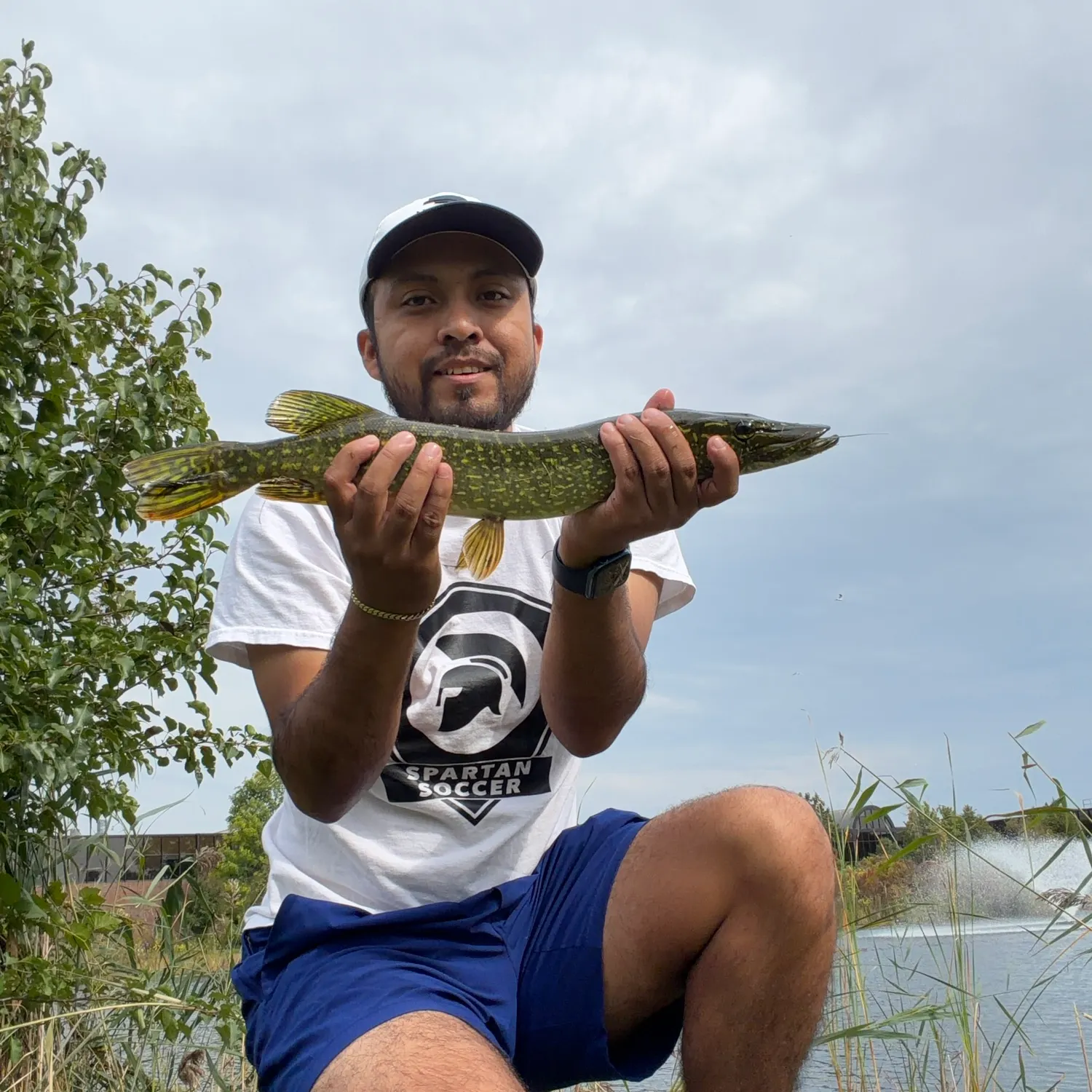 Northern pike caught on Fishbrain