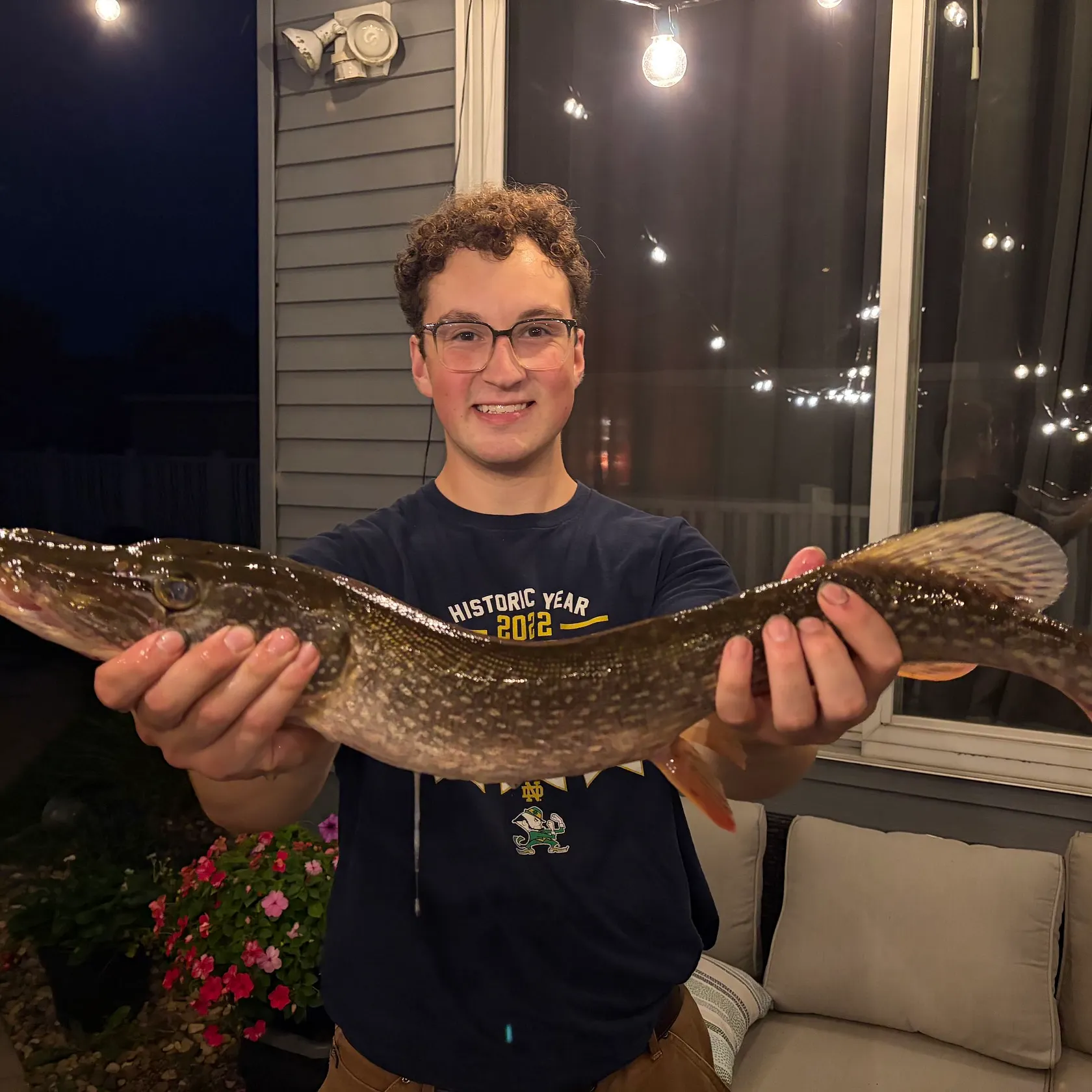 Northern pike caught on Fishbrain