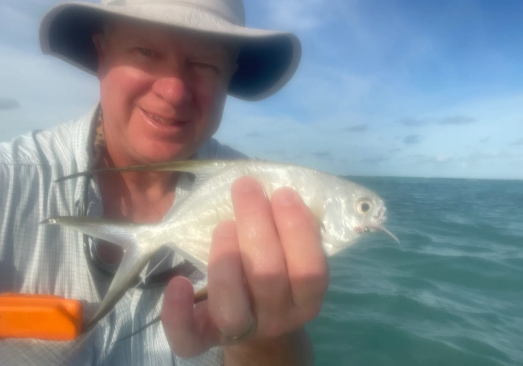 Palometa