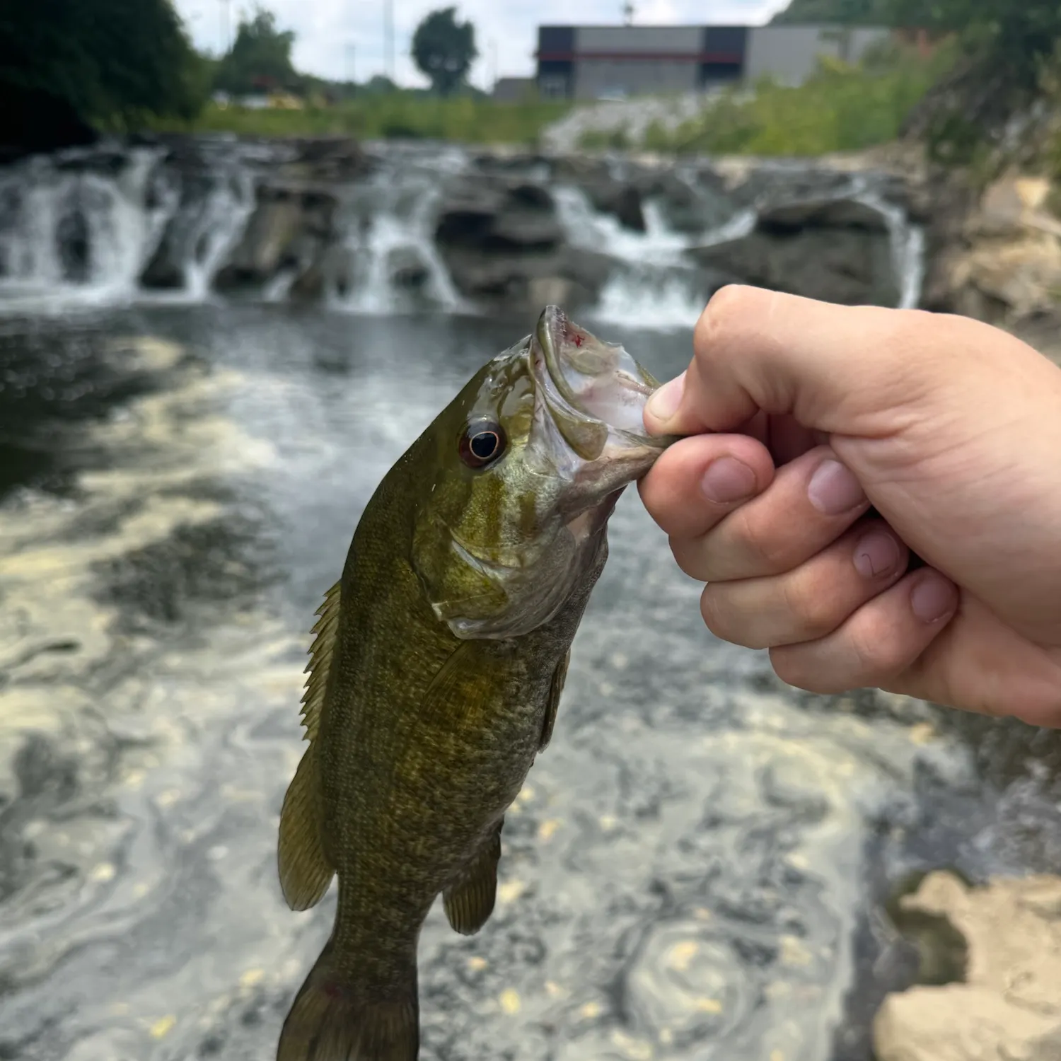 catch